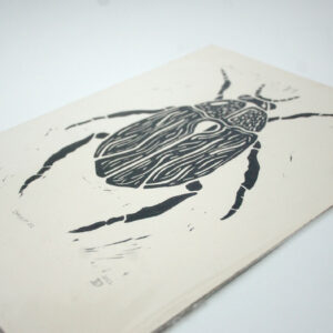 Lino - Insect 01